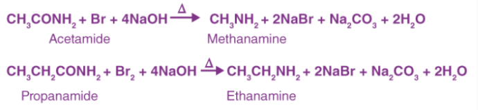 Hoffmann溴酰胺反应机理（定义，实例，步骤）