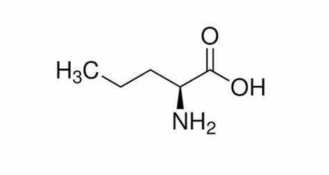 L-正缬氨酸的相关信息