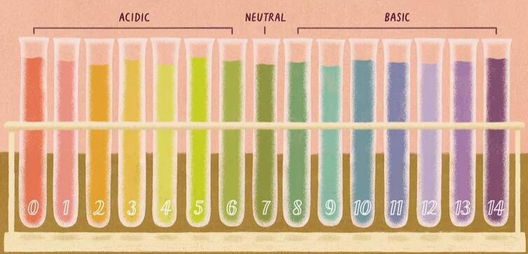 PH（是什么，方程，例子，IUPAC定义，测量，应用）