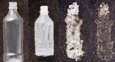聚丙烯可以生物降解吗？它对环境造成污染吗？