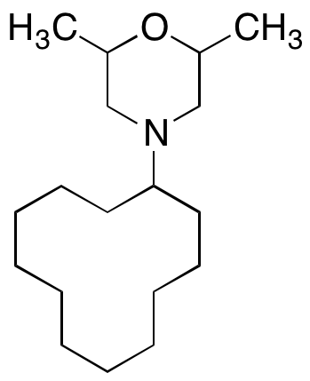 1593-77-7