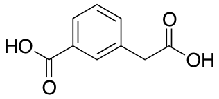 2084-13-1