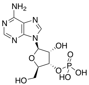 84-21-9