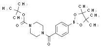 864754-13-2