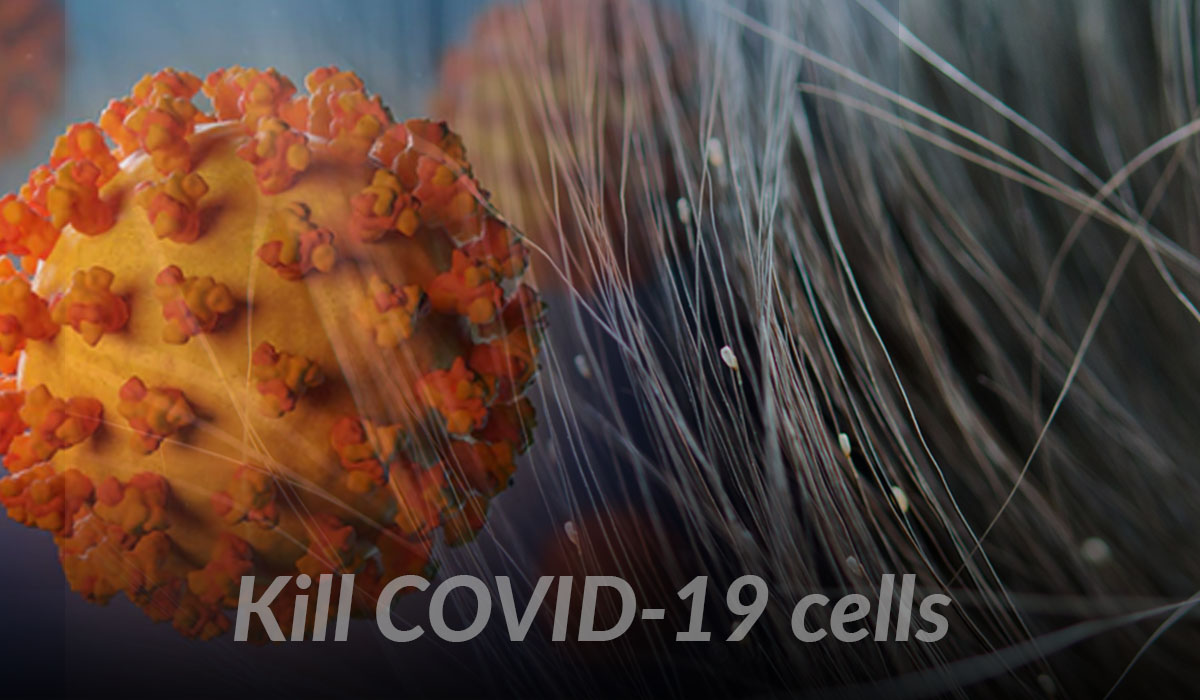 伊维菌素可以用于治疗 COVID-19 吗？