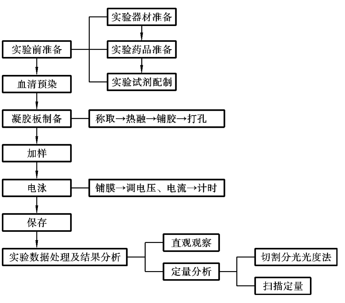 制备琼脂糖凝胶的实验介绍