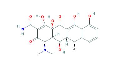 多西环素（是什么，性质，结构，药理学）
