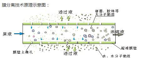 膜分离技术的应用 (膜分离技术,简单介绍,所需的材料,实验步骤,实验试剂清单)