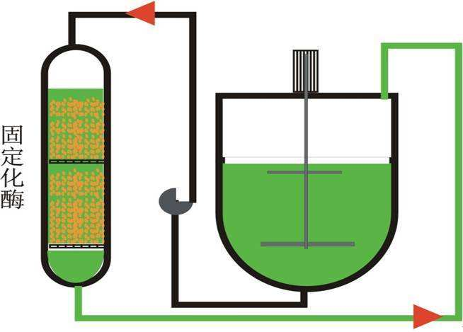 稳定又高效的蛋白质交联剂