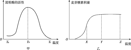 淀粉酶活性的测定