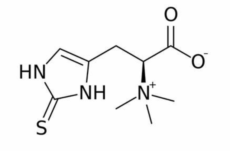 麦角硫因是什么东西